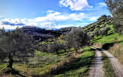 Il Cammino dell’Immacolata nella Valle delle Abbazie 5-6-7-8 Dicembre 2015