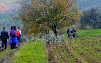 Cammino nella Valle delle Abbazie 2018