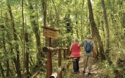 Riserva Naturale Regionale di Castel Cerreto, guida completa